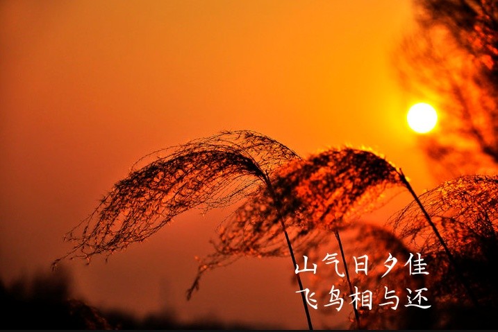 追逐夕阳,迎接美好未来