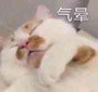 可爱猫咪表情包:抢救无效