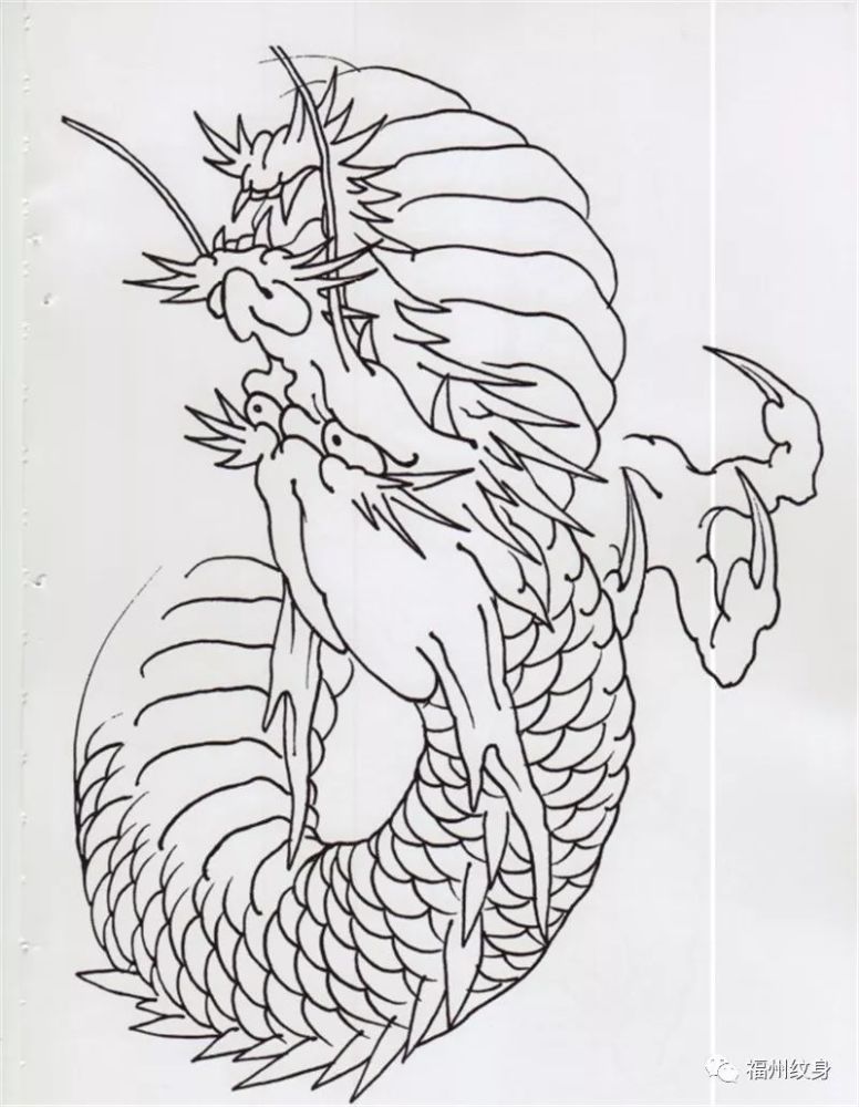 纹身割线高清扫描图稿
