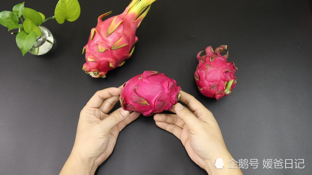 挑选火龙果的小窍门,一挑一个准,果农的方法太棒了