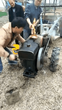 搞笑gif:老鼠:狗子,能不能让我死个痛快!