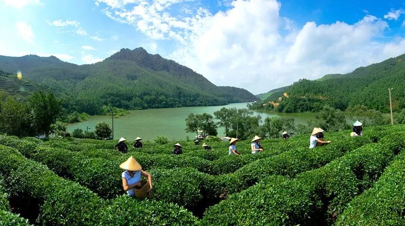 贵港,广西,覃塘区,桂平西山,平南县