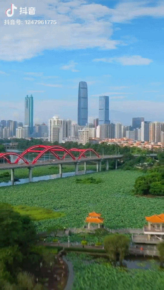 美丽泄国