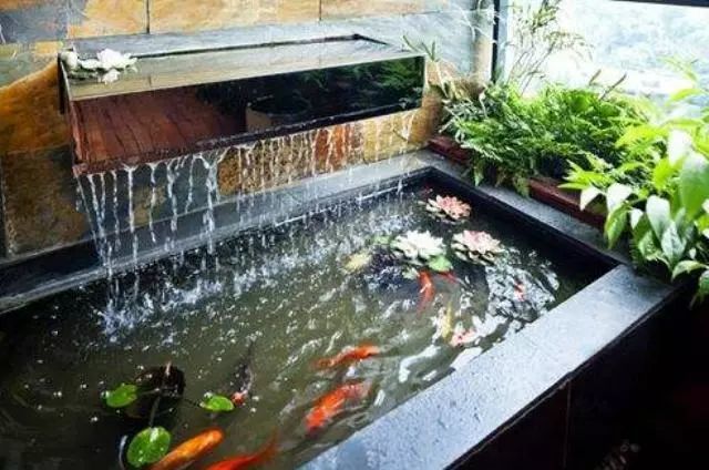能够满足自己比较喜欢养鱼的爱好就想在家里面的阳台安装一个小鱼池