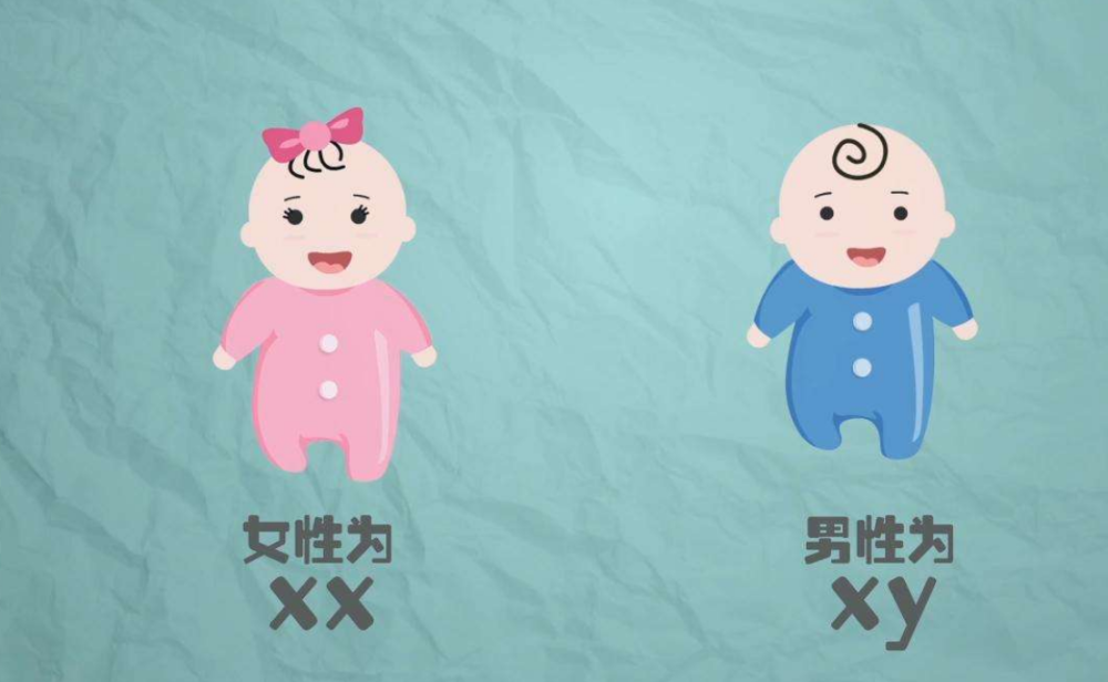 孕期,胎儿,小棉袄,宝宝,孕妈,肾盂分离,皮夹克,孕中期