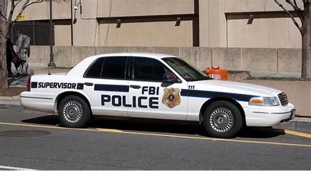 美警向大学生买儿童露骨作品被捕 付款时备注用来买 辅导教材 看点快报