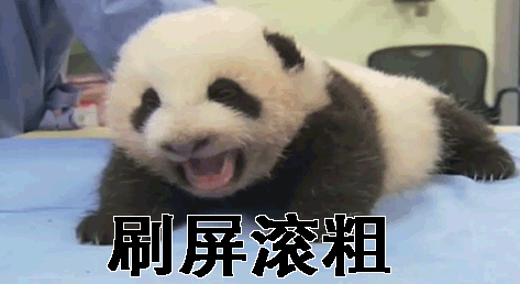 熊猫表情包,你怎么可以这么可爱