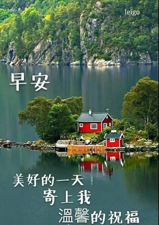 周末最走心的早上好动态美图鲜花带字,早晨好幸福暖心