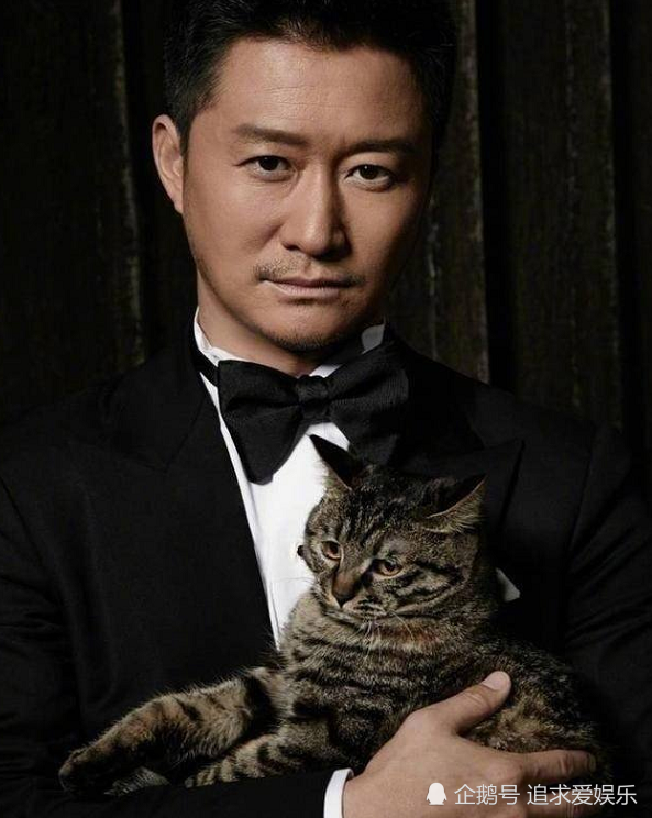 男星抱猫封面,前三位都很帅气,看到吴京,怂的样子笑哭