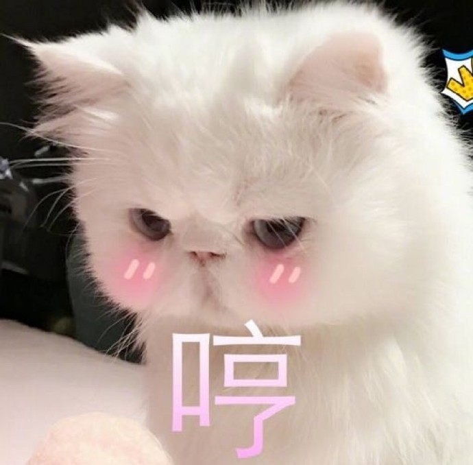 搞笑,表情包,囧图