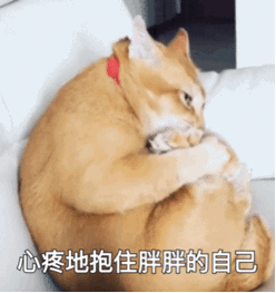 9月起舟山将发生这些变化!涉及你的房子,车子