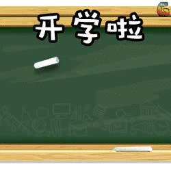 张文宏,高考,特殊教育学校,高三,中职学校