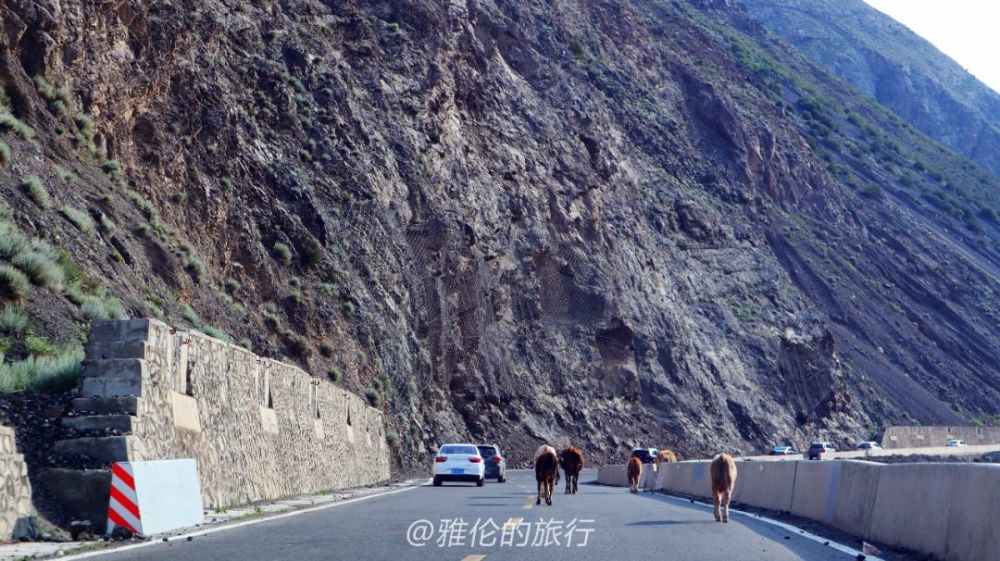 新疆独库公路,561公里走9个小时,途经老虎口多个落石危险路段!