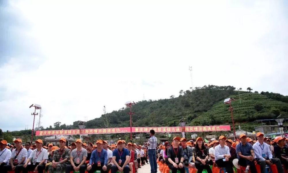 会理县,黎溪镇,向日葵,大海子水库,游人