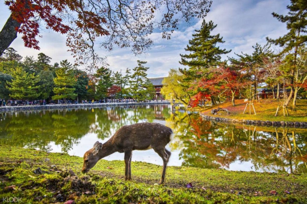 日本著名的旅游景点,你去过几个?