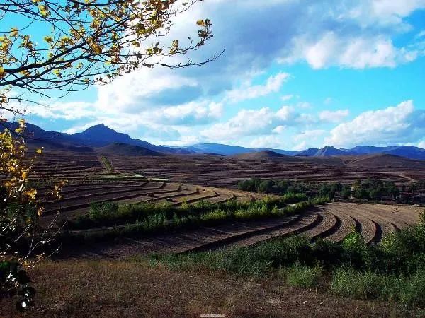 林西县,生态旅游,大兴安岭,草原,林区