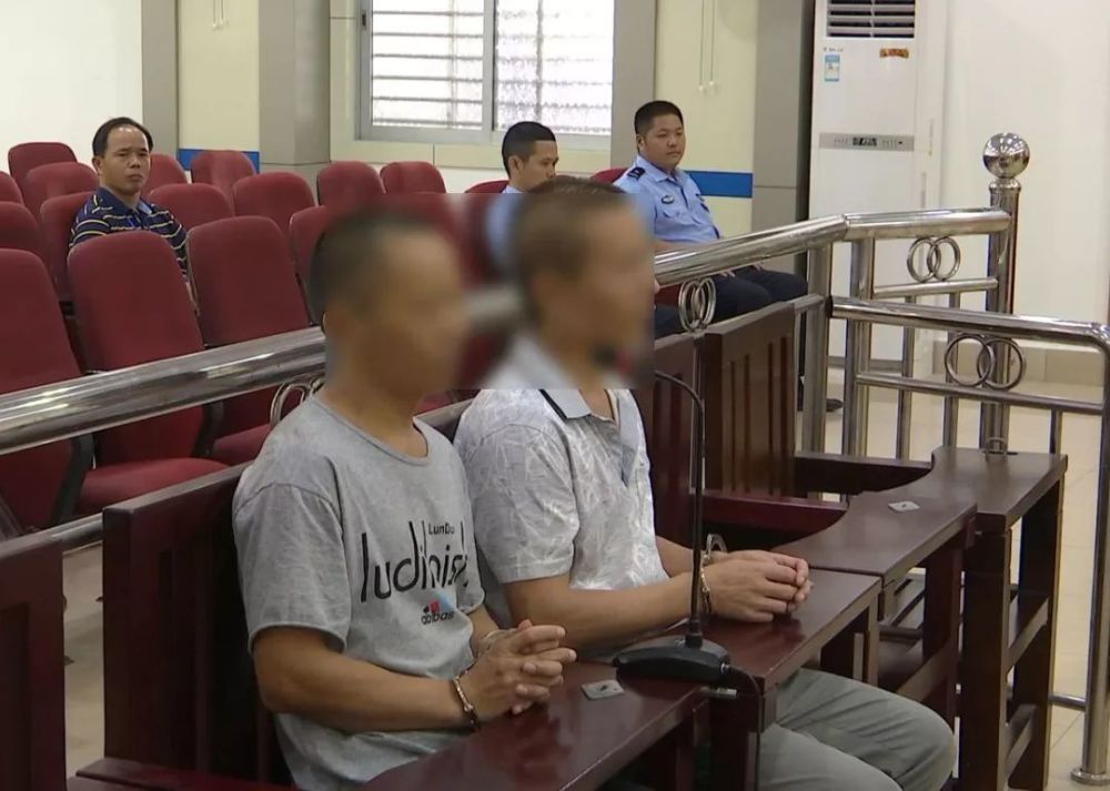 紫金两男子因为做这事,被判拘役4个月!