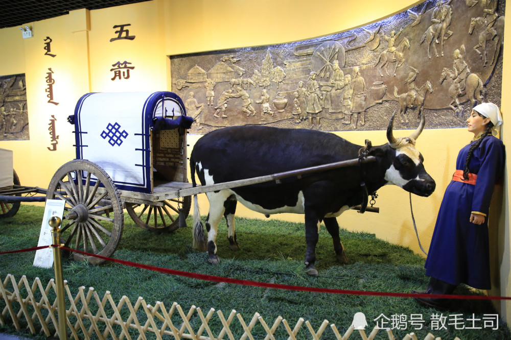 实拍巴尔虎博物馆,了解蒙古民族的起源
