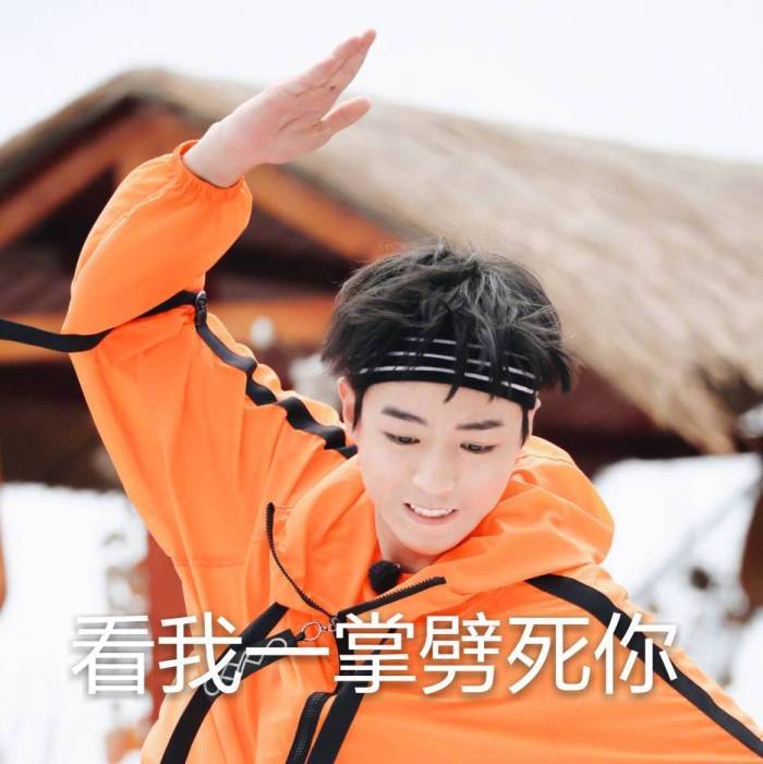 搞笑王俊凯表情包合集:看我的佛山无影脚,你怕了吗?
