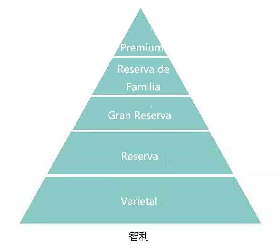 你想要的一切,智利都给你