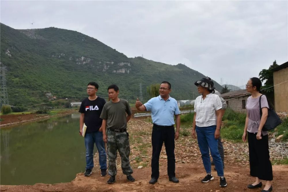 红河州,检察院,蒙自市,沙甸河,个旧市