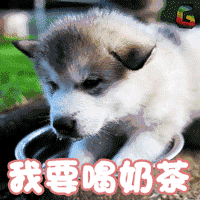 表情包这个夏天就靠珍珠奶茶续命了