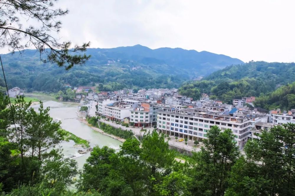 泰顺县,浙江,景区,南溪村,村庄,市农业农村局,泗溪镇,墩头村,玉塔村