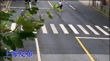 这几起交通事故中,电动三轮车,电动自行车负全责!原因