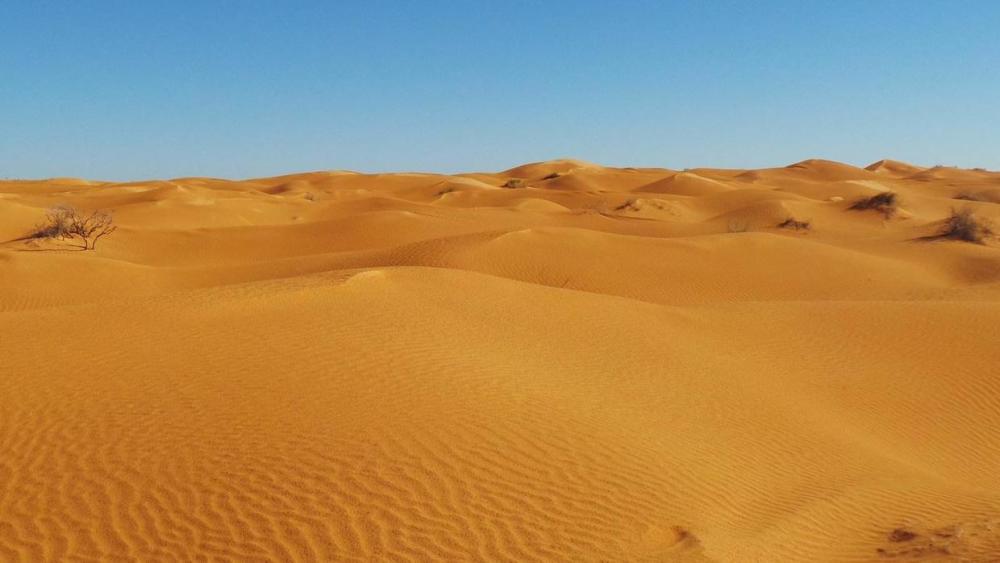 热带沙漠气候和温带沙漠气候在成因上有什么不同?