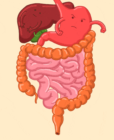 肚子疼未必就看消化内科,这些症状你可别看错科室了!