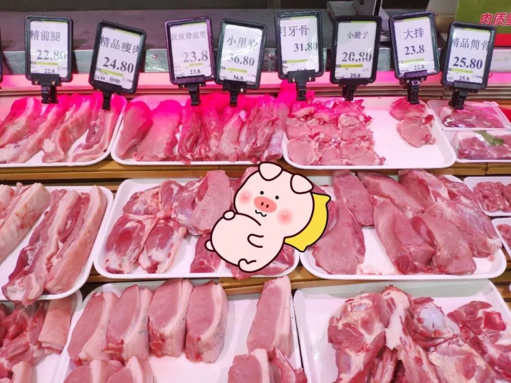 小编探访合肥三大超市一大菜市场对比猪肉价格