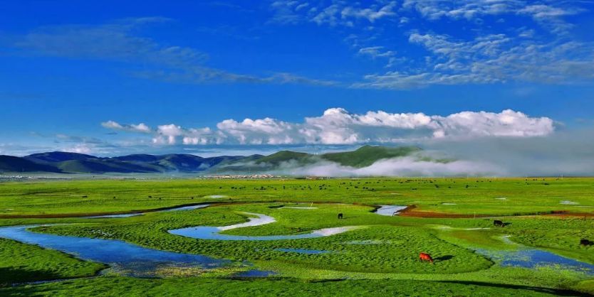 红原,湿地,月亮湾