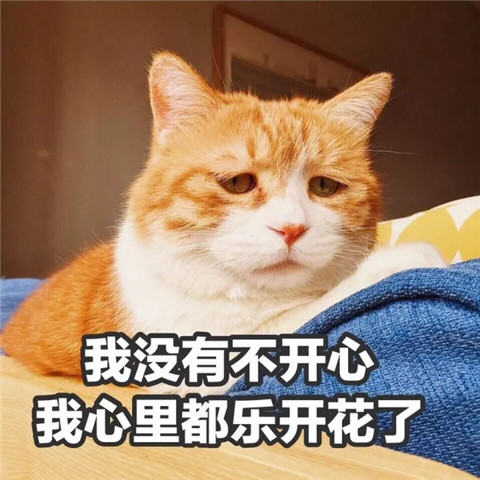 爆笑沙雕表情包:我没有翻白眼,我只是在仰望天空!