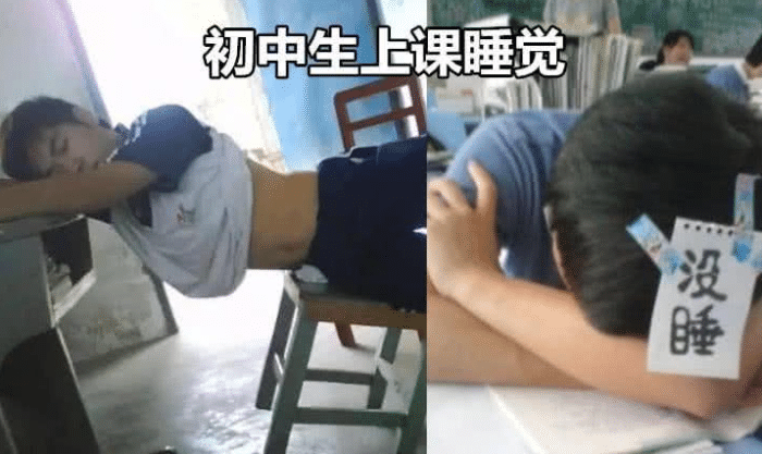 "上课睡觉"也分段位?小学生只能算青铜,看到大学生:堪称王者