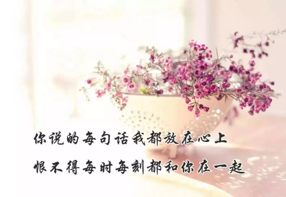 相遇不易,致与我有缘的你