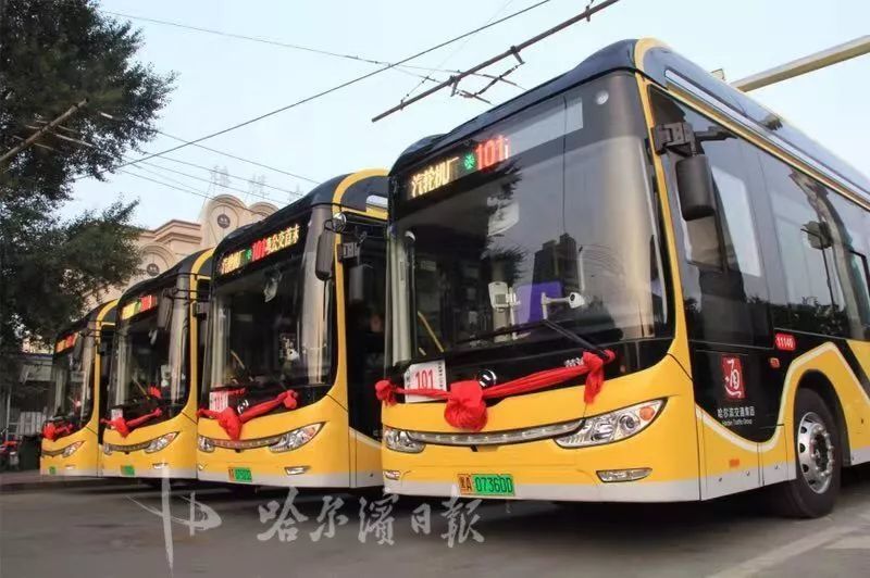 从 8 月 5 日开始,由市政府招标采购的 501 台丹东黄海牌纯电动公交车