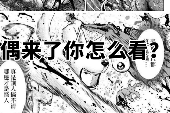 一拳超人158:喵喵怪来地面谁能击败?网友:猫狗大战了解一下