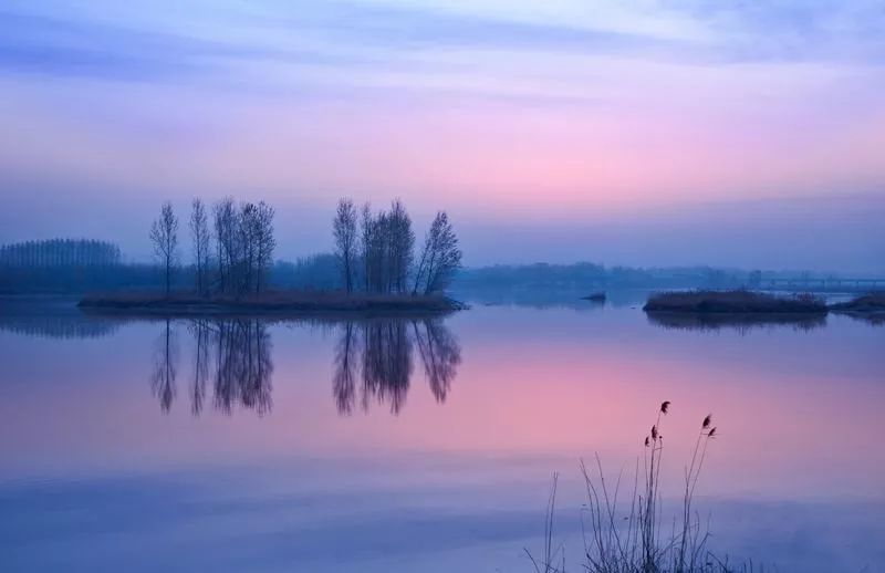 沂河淌简介 新沂河是沭阳最亮丽的自然风光带,它始自骆马湖嶂山闸