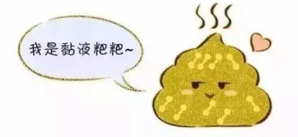 宝宝,朴货君,孩子,肠道,家长,粑粑
