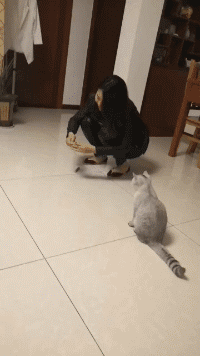 搞笑gif段子:生无可恋,大概就是这个表情吧!