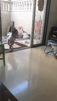 搞笑gif段子:生无可恋,大概就是这个表情吧!