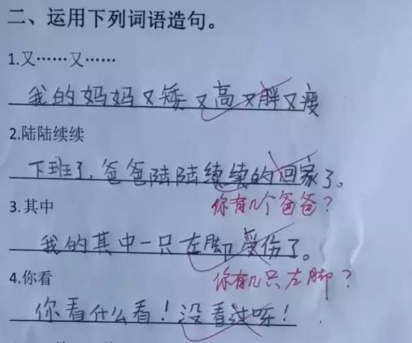 小学生的0分造句走红,气得老师手发抖,网友:智商超越了地球人