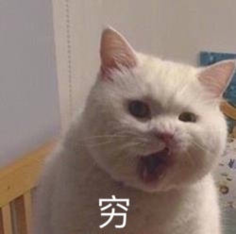 可爱猫咪搞笑表情包!
