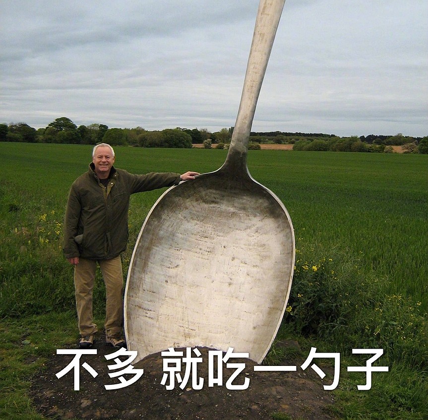 请我去你家吃饭吧,不多就吃一勺子!