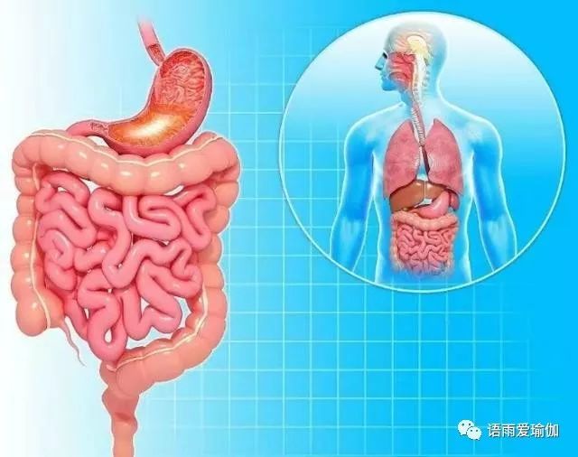 10个瑜伽姿势缓解腹部饱胀并促进消化,饭后一定要试试