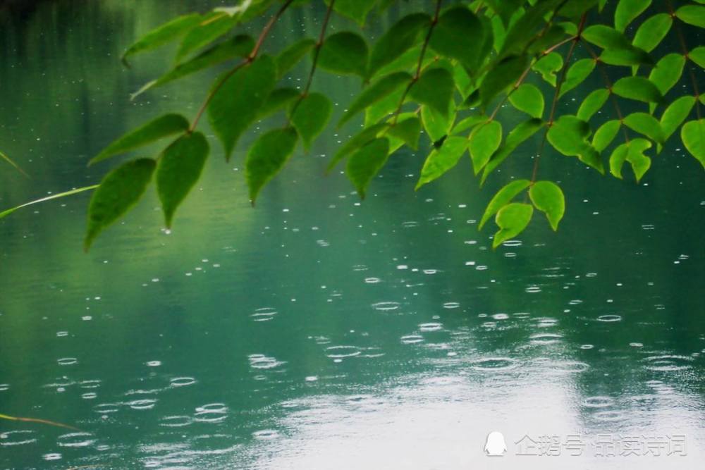 李清照,如梦令·昨夜雨疏风骤,唯美,北宋,才女