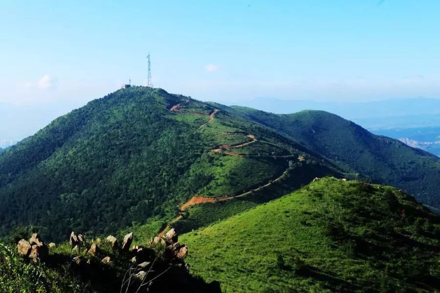 公园,黄花山森林公园,广东,旅游,景点