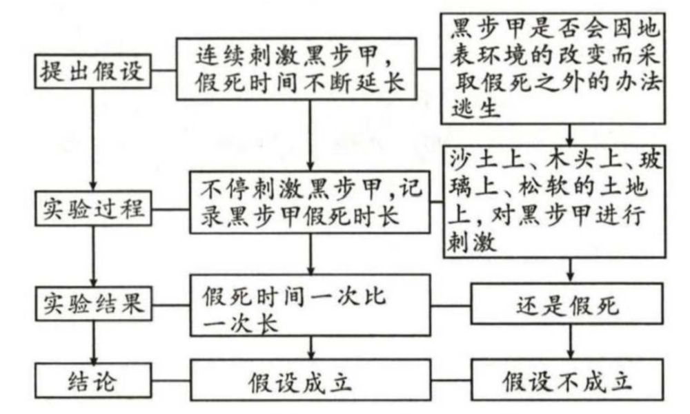 因此,制作研究流程图不仅可以让学生理清法布尔研究昆虫的过程,更能