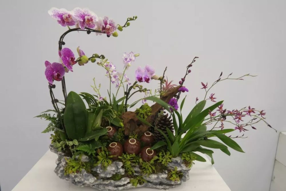 组合盆栽参赛作品以兰花为主体材料,侧重展现兰花的高雅格调和作品的