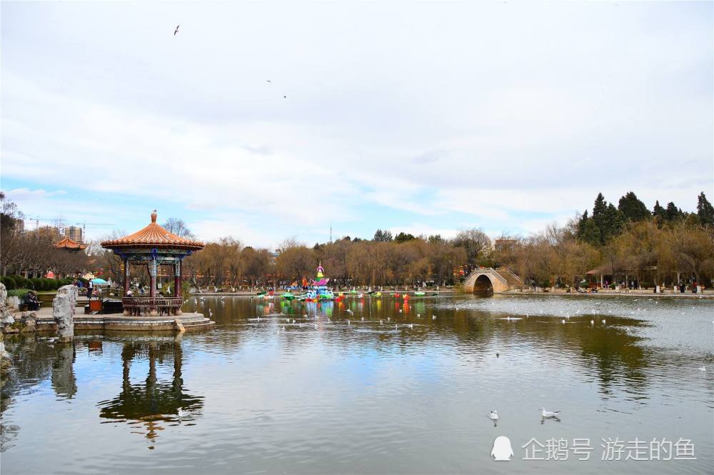 昆明必去旅游景点,这十个最好玩